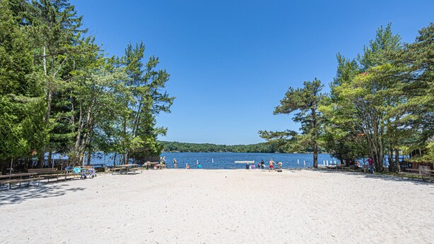En sandstrand med picknickbord och bänkar, omgiven av träd och en klarblå himmel.