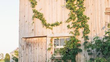 Une grange en bois, surmontée d’un toit en métal, entourée de verdure.