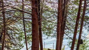 Un banco de madera en una zona boscosa con vistas a un cuerpo de agua.