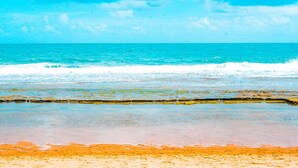 Beach nearby, sun loungers - Beach Class Apartment, Muro Alto. It is 10 km from Porto de Galinhas Beach. (PE)