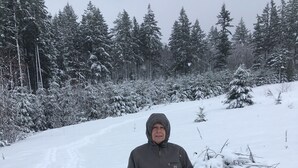 A person skiing in a snowy forest. - RV Flat Lot- Tatoosh Timbers - No Bedroom or Bathroom RV Lot only.  (Packwood)