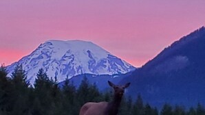 A mountain with snow-capped peaks and a forested area in the foreground. - RV Flat Lot- Tatoosh Timbers - No Bedroom or Bathroom RV Lot only.  (Packwood)