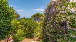 Ein Garten mit Holzzaun, unterschiedlichen Pflanzen und Blick aufs Meer.