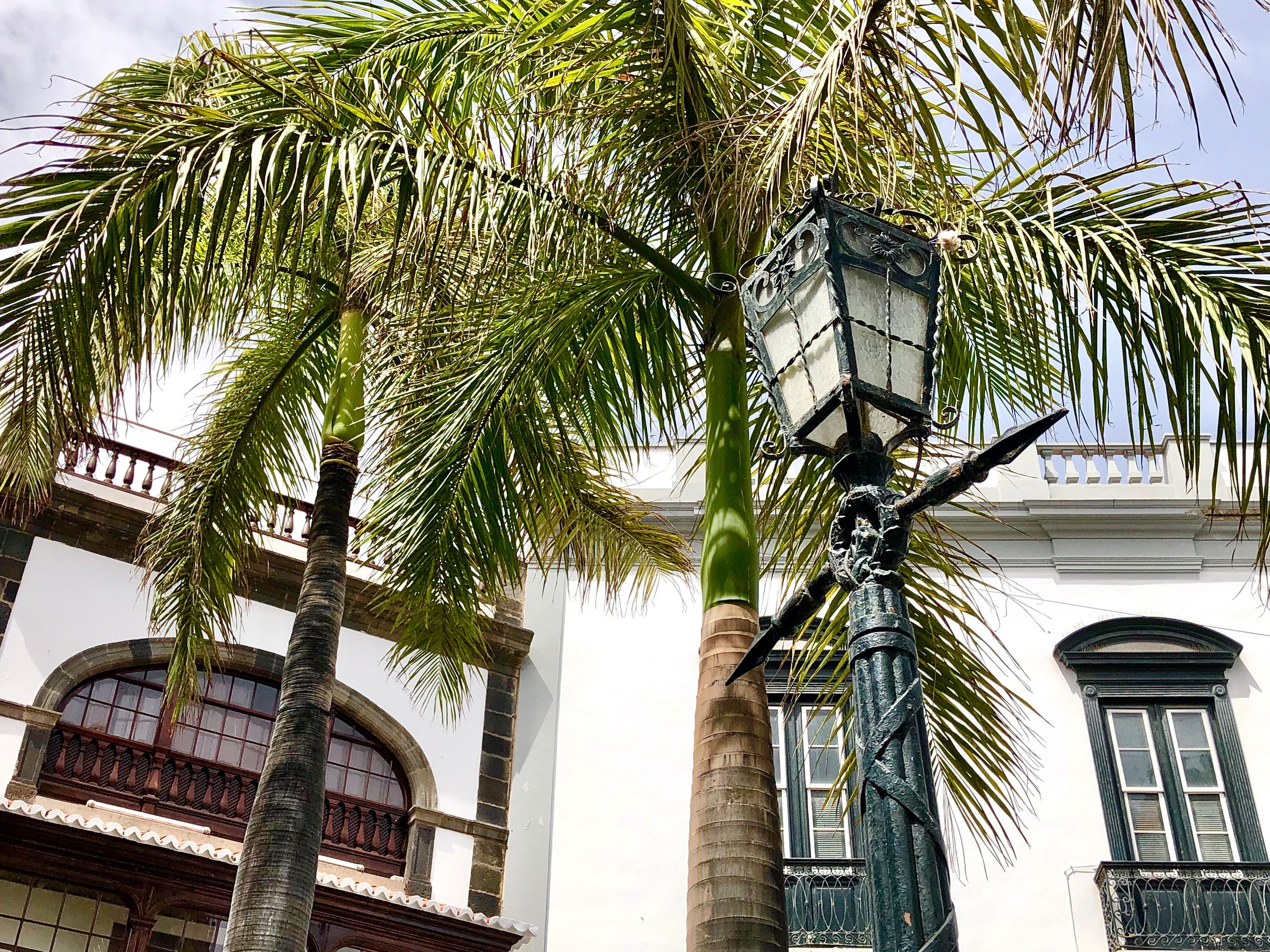 Apartment, 1 Bedroom, Patio, City View | Exterior