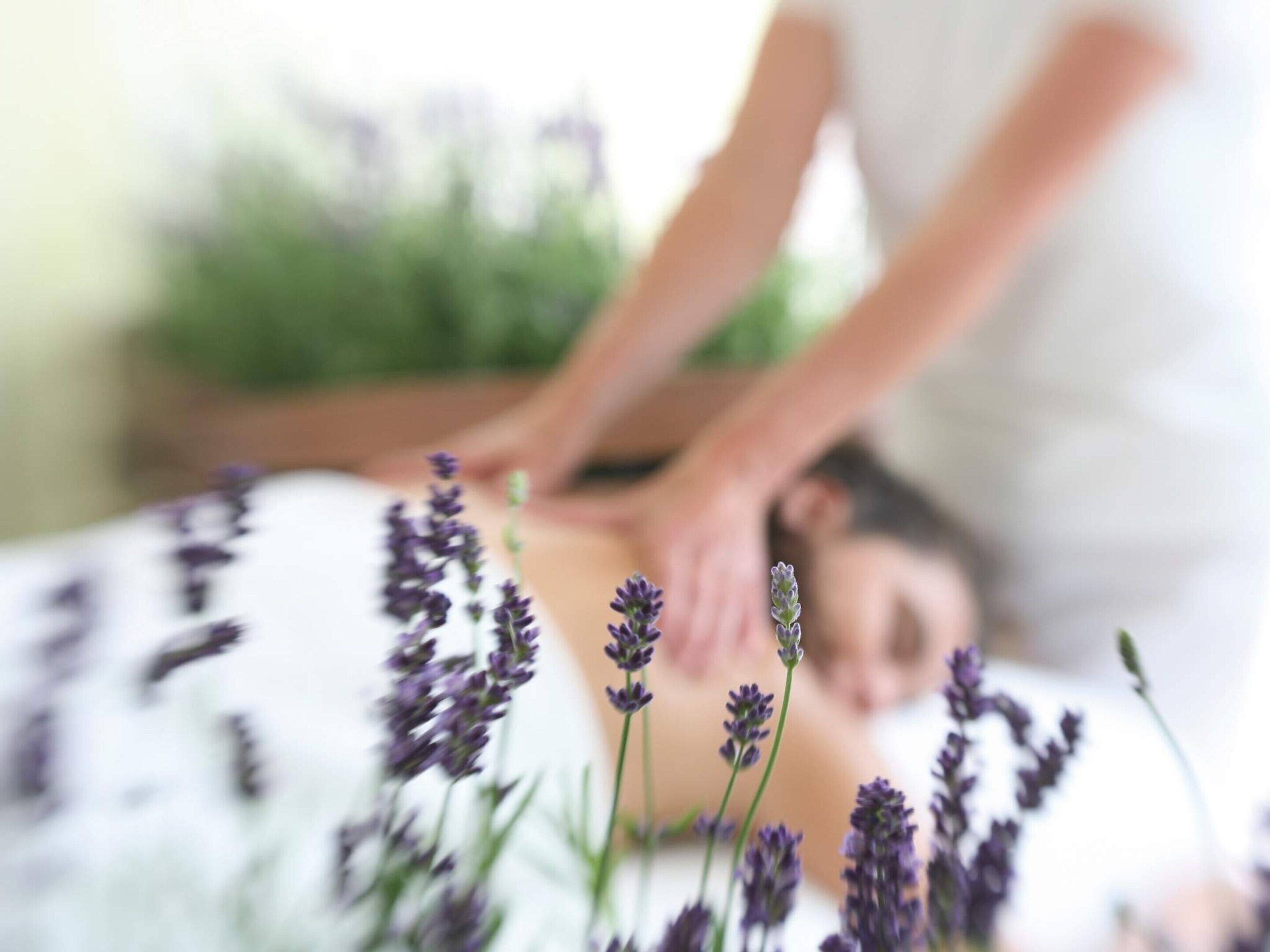 Une séance de massage, avec des plants de lavande au premier plan.