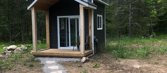 BLUE JAY the grown up bunkbed