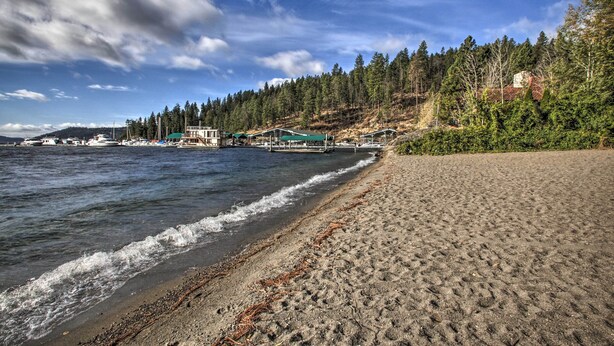 Una playa con un muelle de madera que se adentra en aguas tranquilas, rodeada de un denso bosque y un cielo despejado.