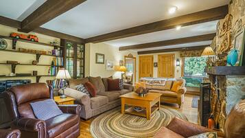 Télévision, cheminée, lecteur de DVD