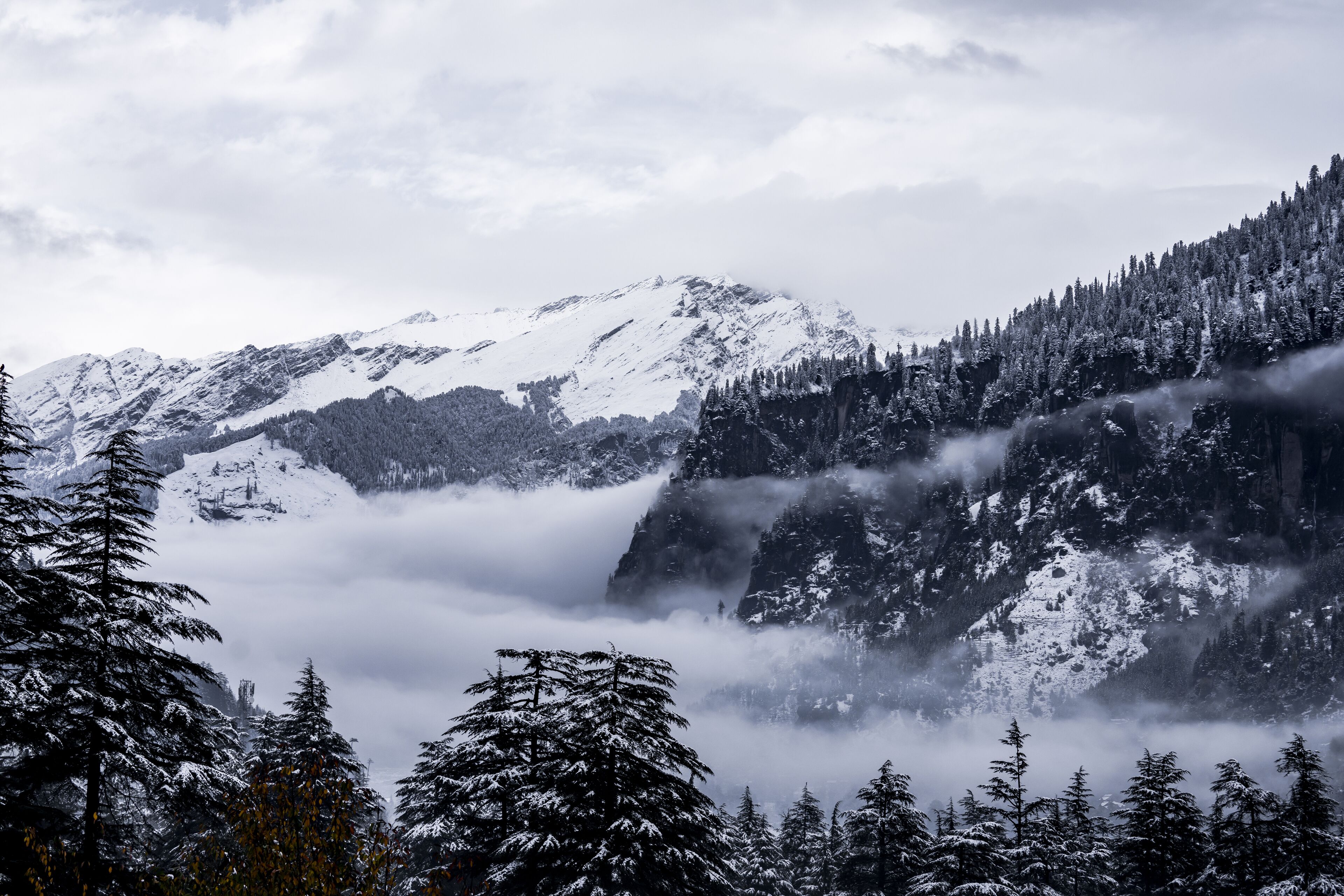 Un paisaje montañoso con árboles cubiertos de nieve y una cascada.