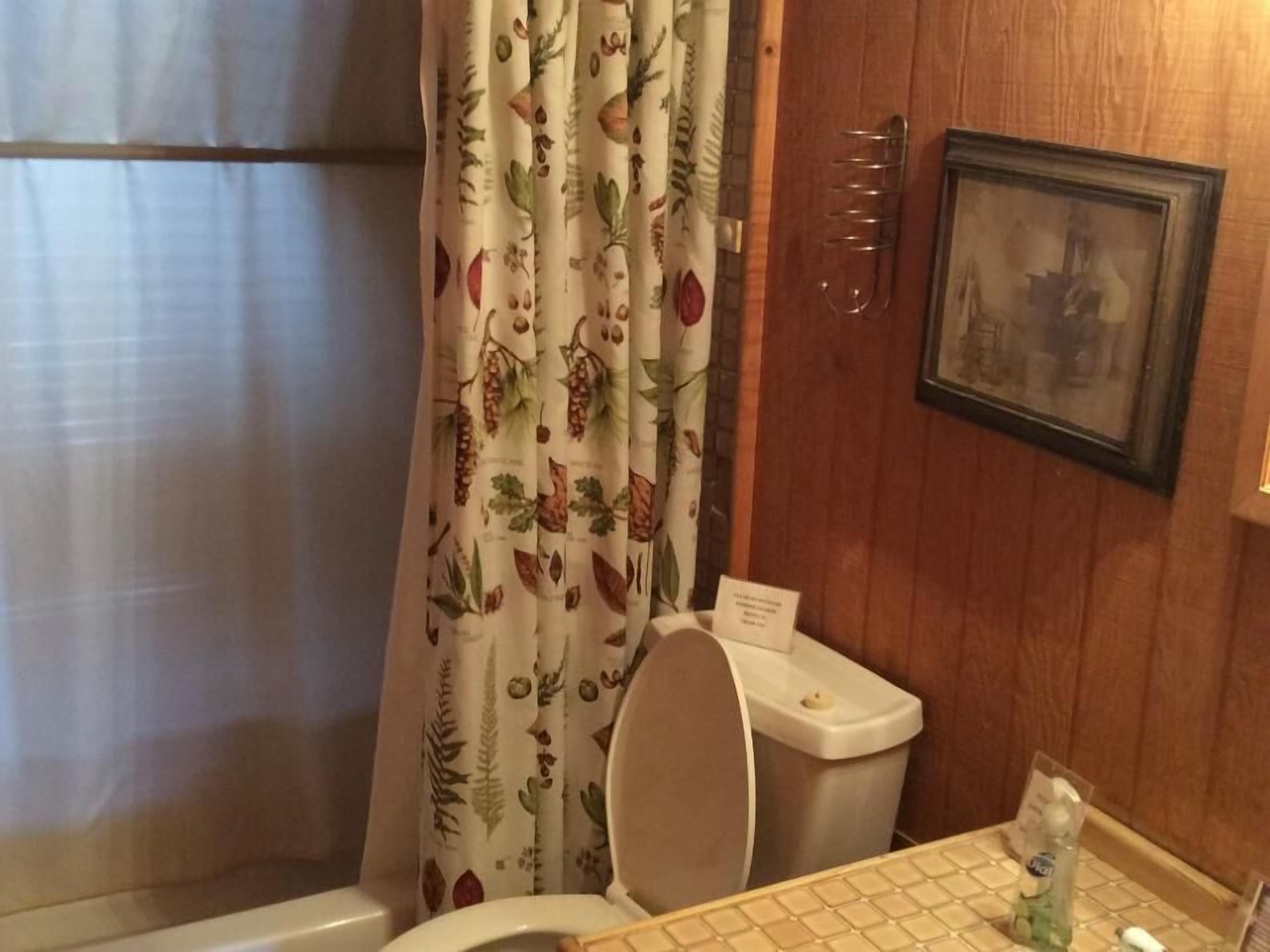 Black Bear Log Cabin