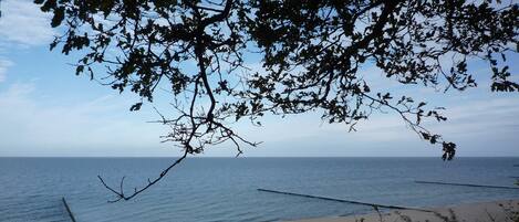 Una playa cerca