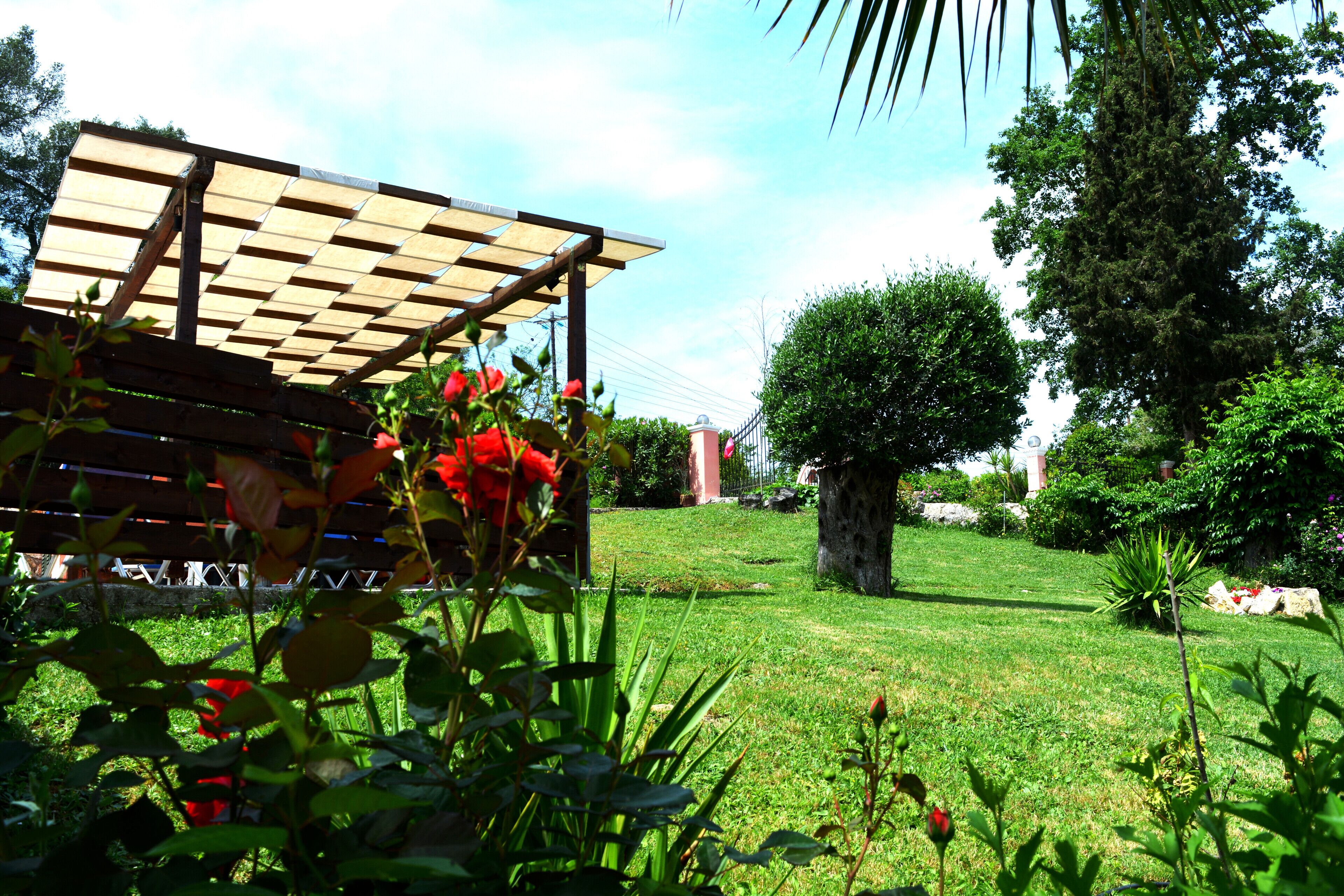 Overnattingsstedets uteområder