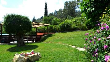 Terrein van de accommodatie