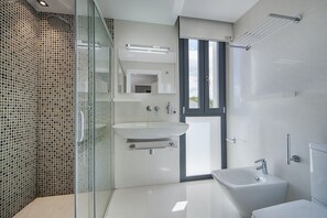 Shower, hair dryer, towels