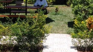 A person sitting at a table under a green umbrella in an outdoor seating area with small plants and a tiled floor. - Divine Homes Resort (Kisumu)