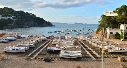 Nice apartment on the beach of Sa Riera, nice terrace