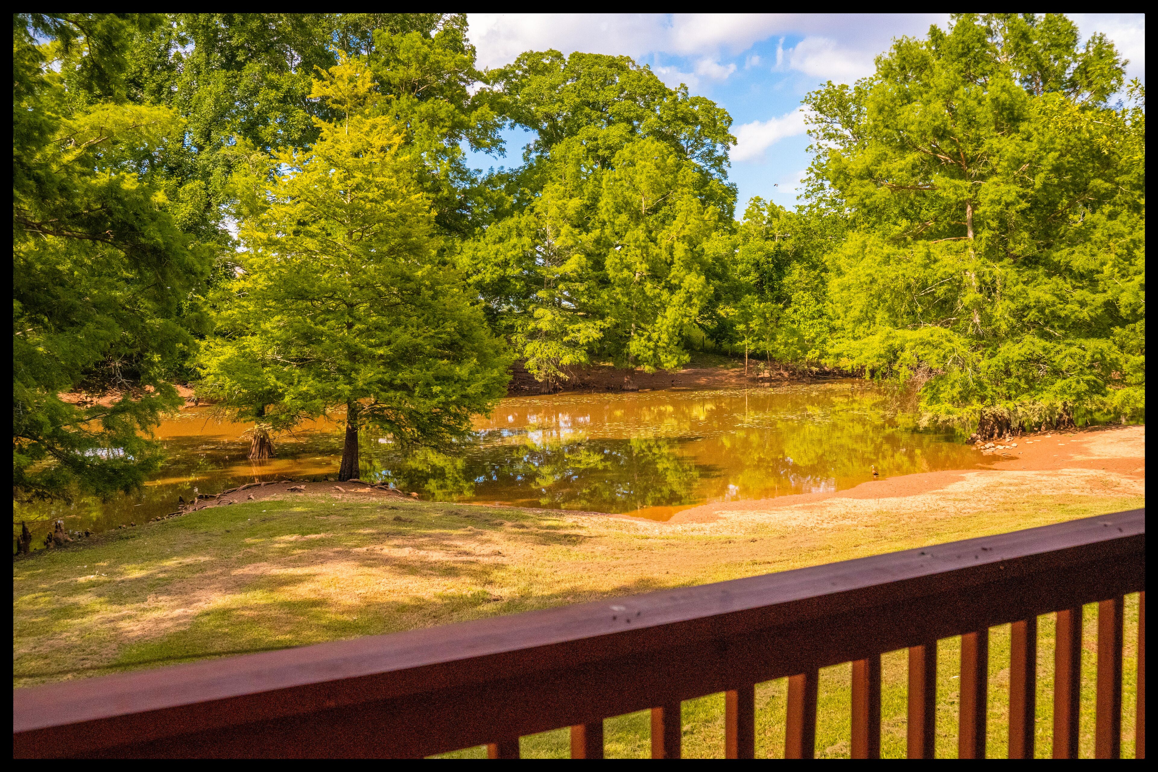 Magnolia Room in Carriage-Queen-Jacuzzi-Cottage-Ba