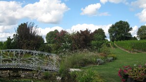 A garden with a metal bridge, a pond with lily pads, and a vineyard in the background. - Luxury gite for adult couples, peaceful, open views, large swimming pool (Boisse)
