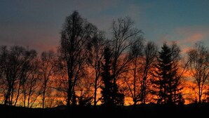 Silhouetten van bomen voor een ondergaande zon.