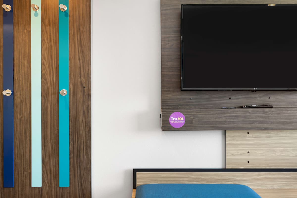 Une chambre moderne avec un lit, un téléviseur fixé au mur et un panneau en bois orné de bandes colorées.
