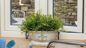 Een badkamer met raam, een potplant, een zeepdispenser en een metalen kraan.