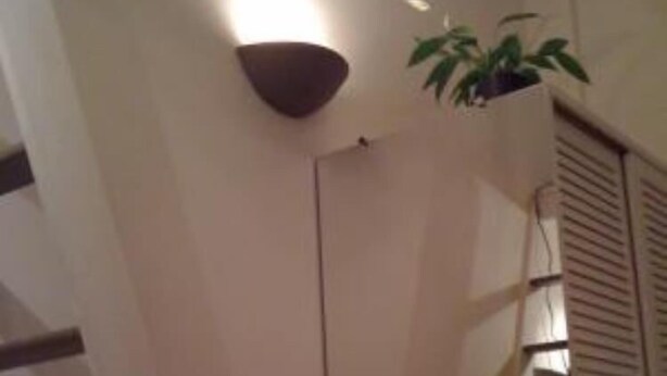A staircase with a modern design, a wall-mounted light fixture, and a potted plant.