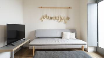 Flat-screen TV