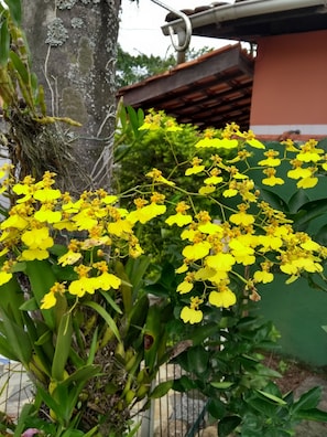 Detalhe da fachada