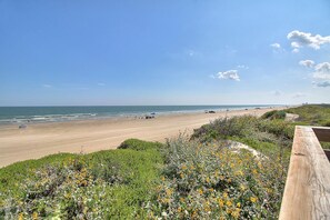 Perto da praia 