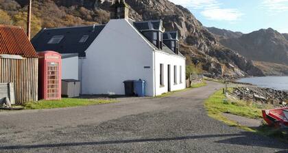 Lily Lodge - UK31958