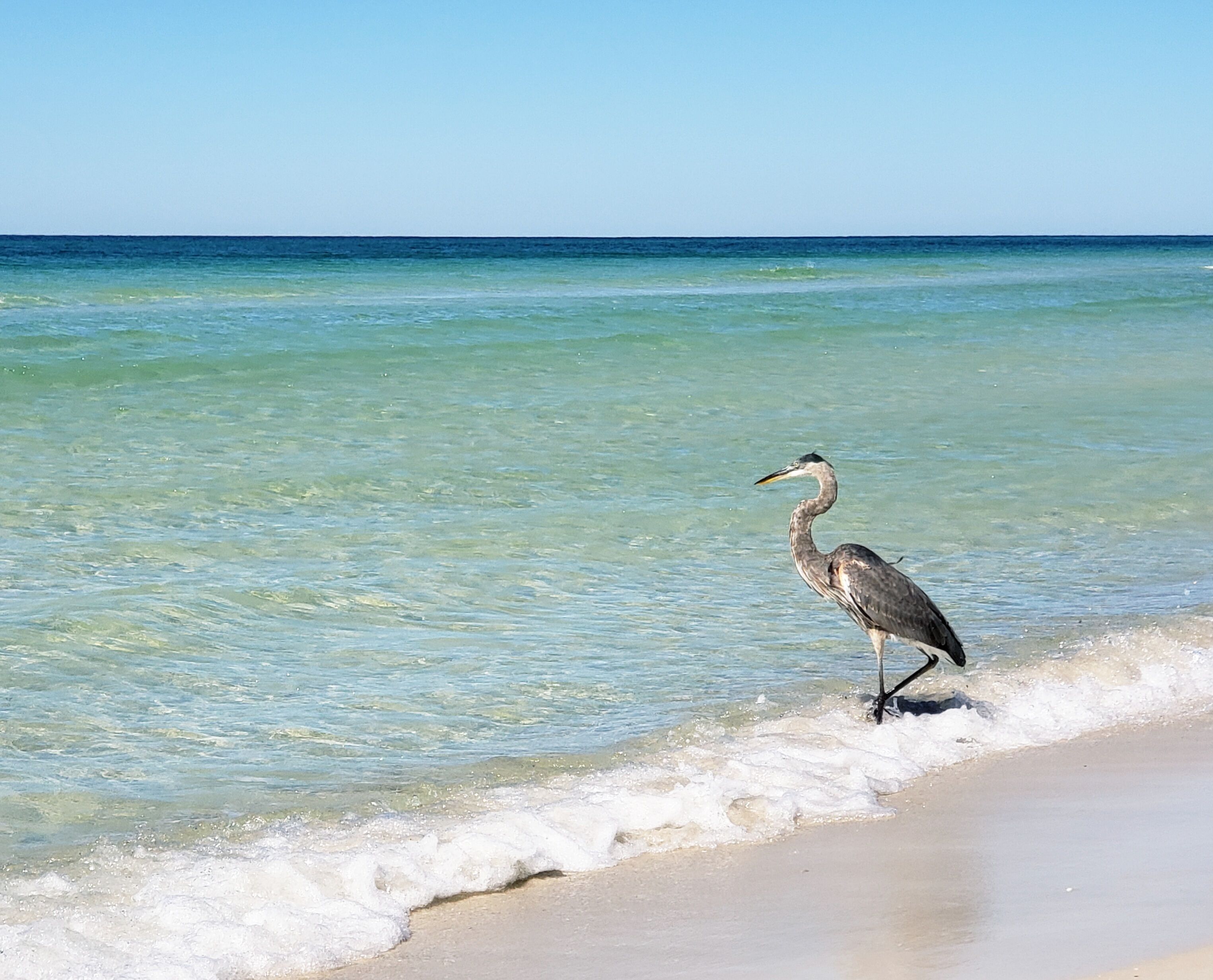 In Strandnähe, Liegestühle, Strandtücher
