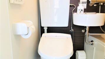 Combined shower/bathtub, free toiletries, hair dryer, slippers