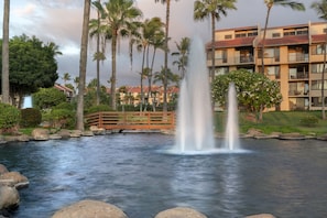 Stroll across the tranquil bridge to the soothing water feature, surrounded by lush greenery and a modern hotel.