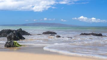 Playa en los alrededores, camastros y toallas de playa