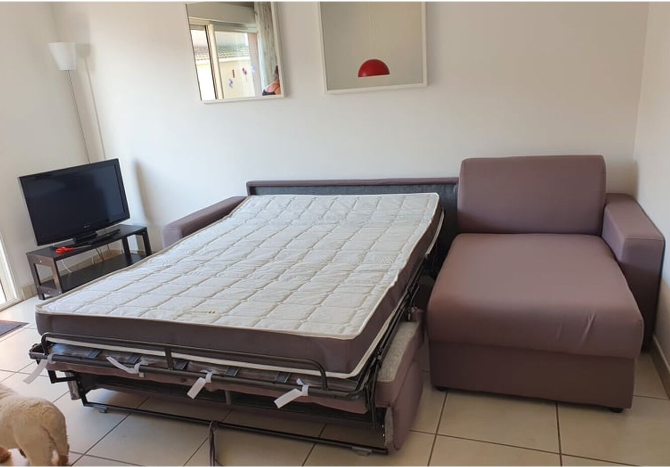 A room with a bed, a television, and a sofa.