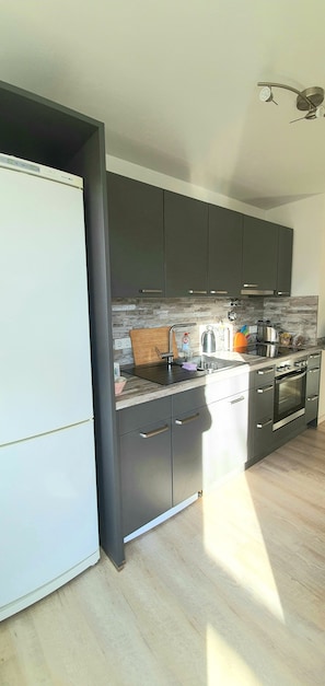 Kühlschrank, Mikrowelle, Ofen, Herdplatte