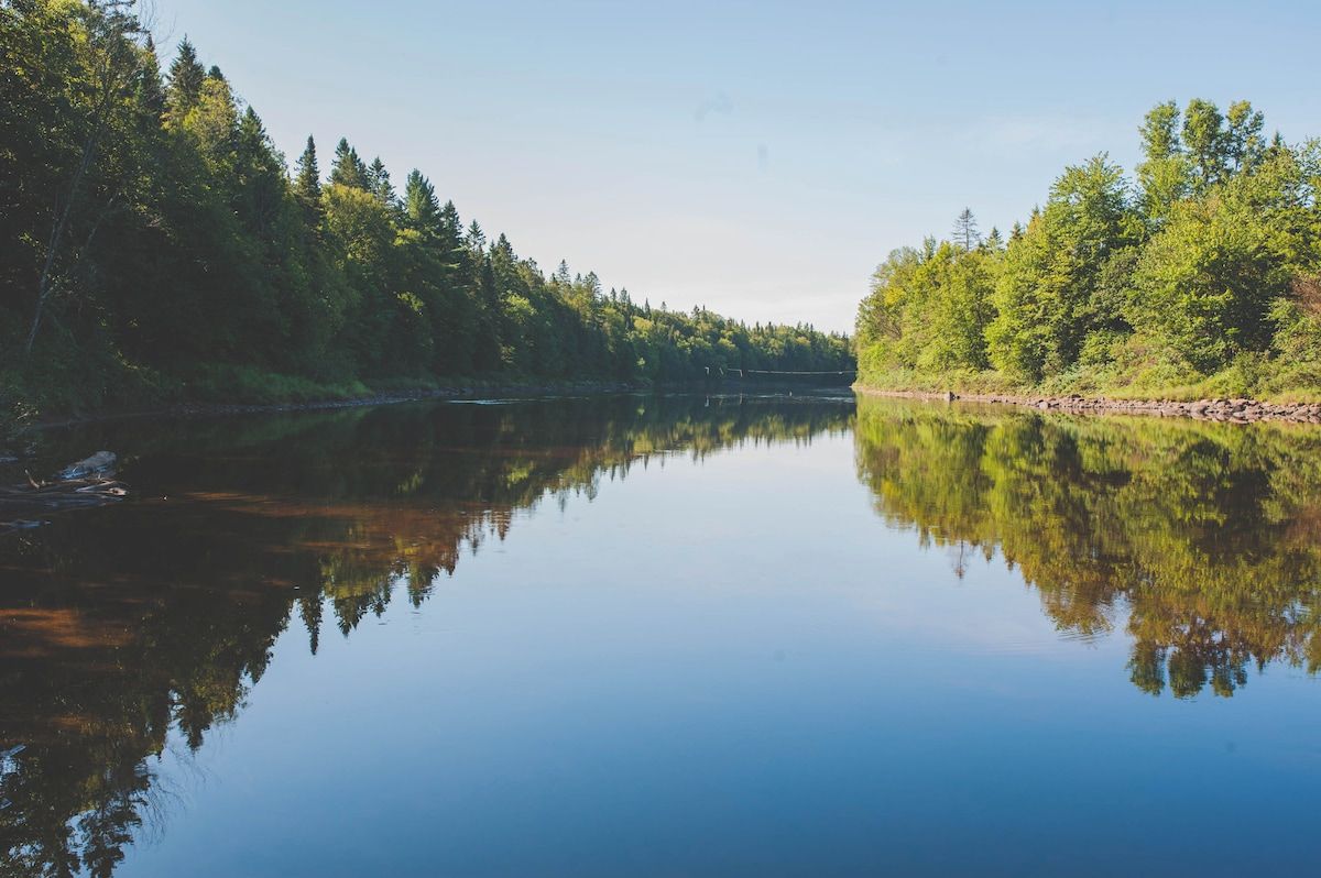 A calm lake with dense forest on both sides.