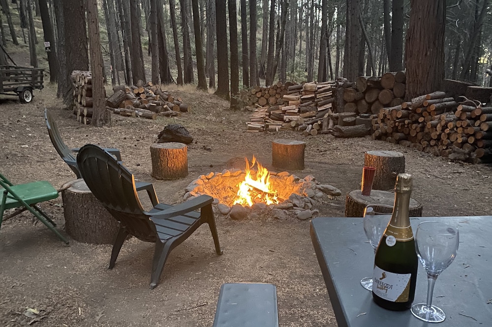 Cozy Cabin Close to Rivers and Lakes - Nature Retreat & Dog Heaven!
