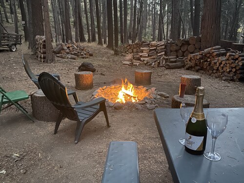 Weekend Getaway Relax & Recharge 5 acres Nature Retreat & Dog Heaven! 