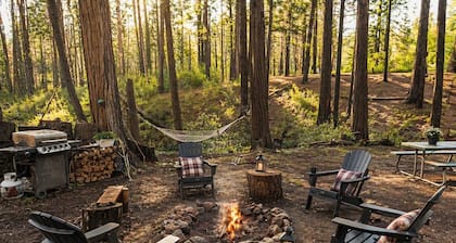 Weekend Getaway Relax & Recharge 5 acres Nature Retreat & Dog Heaven!