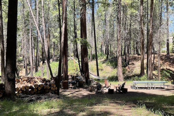 Àrea exterior de l'allotjament