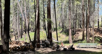Weekend Getaway Relax & Recharge 5 acres Nature Retreat & Dog Heaven!