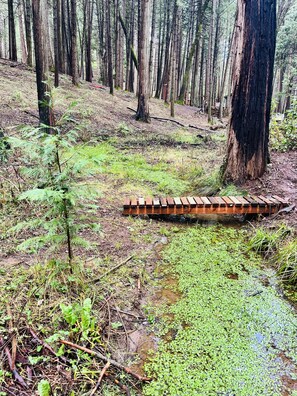 Enceinte de l’hébergement