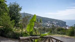 A paved path with a wooden railing, lush greenery, and a view of a coastal town with buildings on a hillside. - Casa Paola 2 (Vico Equense)