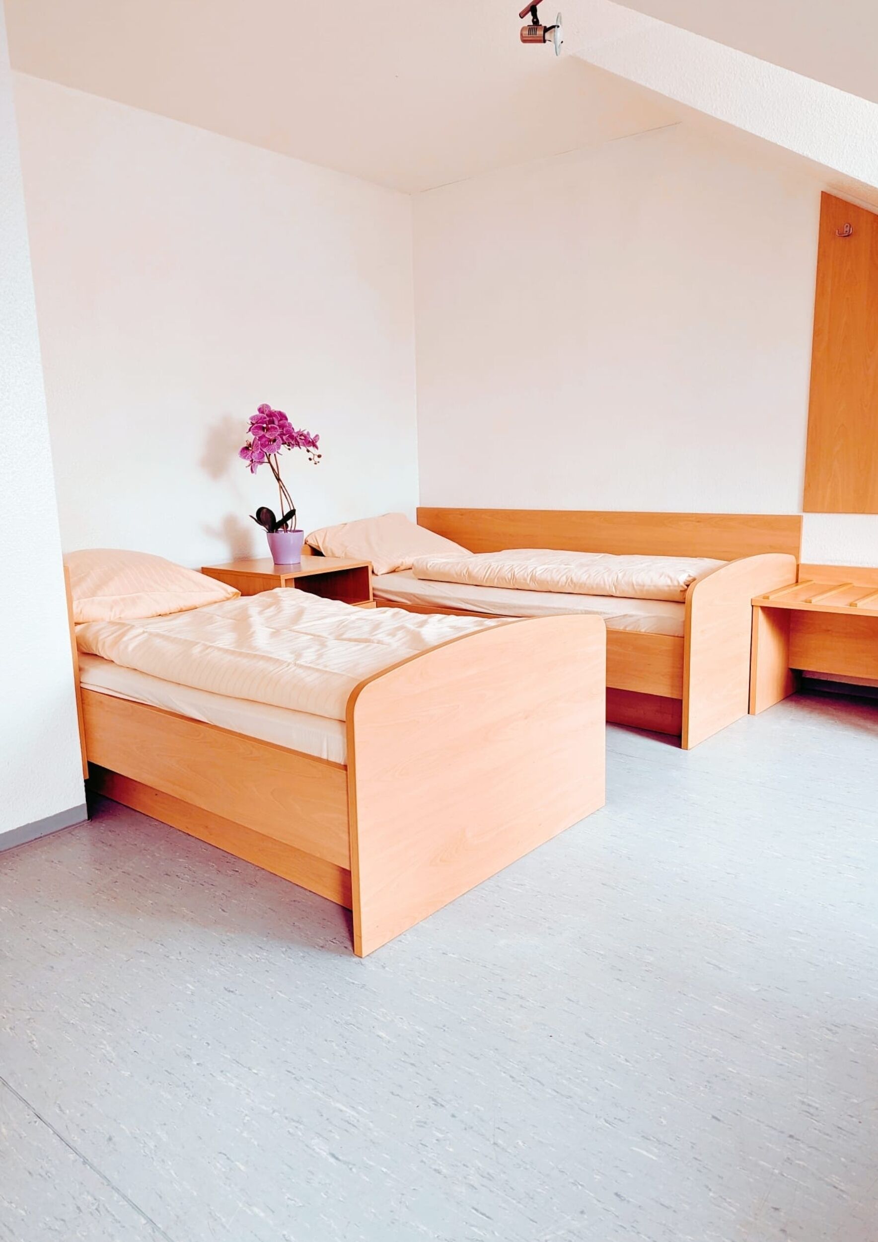 Ein modernes Schlafzimmer mit zwei Holzbett, einem kleinen Tisch mit einem violetten Orchidee und einem Holzschrank.