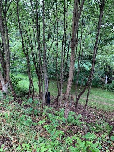 Charming Rustic Townhome in the Heart of the Villages at Seven Springs