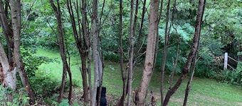 Charming Rustic Townhome in the Heart of the Villages at Seven Springs