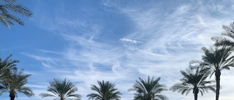 屋外プール、温水プール