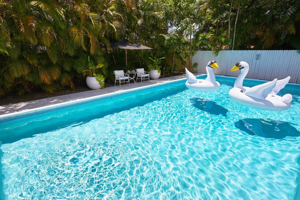 A swimming pool with inflatable swan floats.