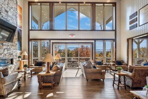 TV, fireplace, video games, DVD player